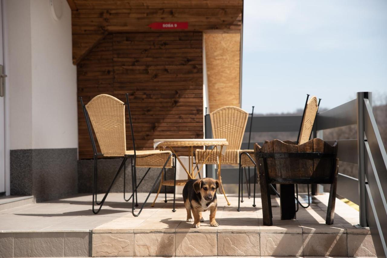 Konak Ljubica Rtanj Boljevac Extérieur photo