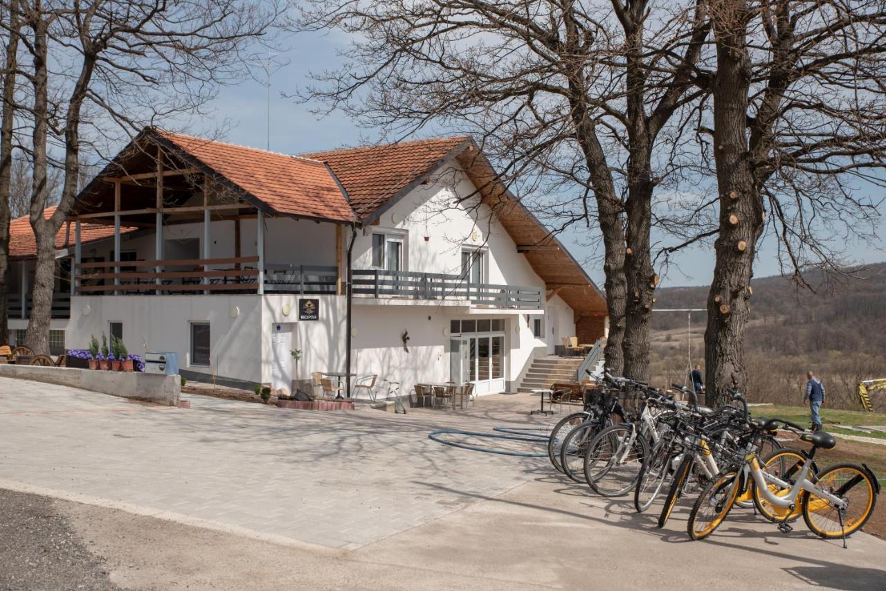 Konak Ljubica Rtanj Boljevac Extérieur photo