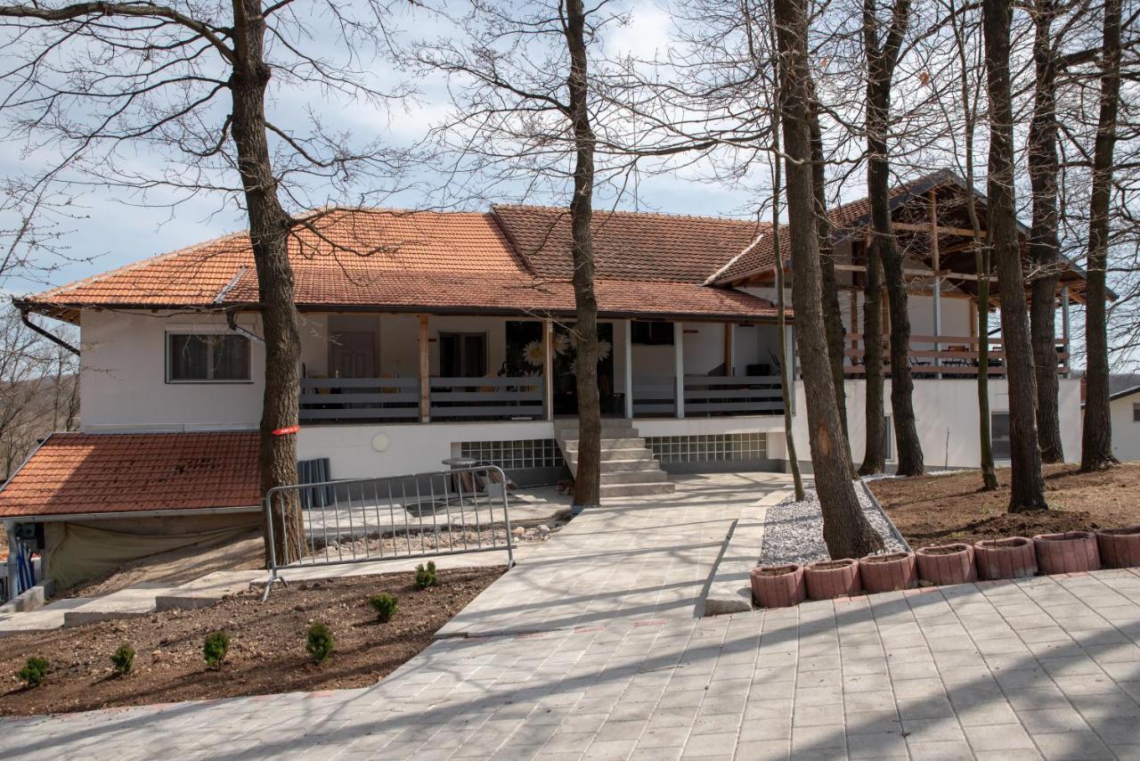 Konak Ljubica Rtanj Boljevac Extérieur photo