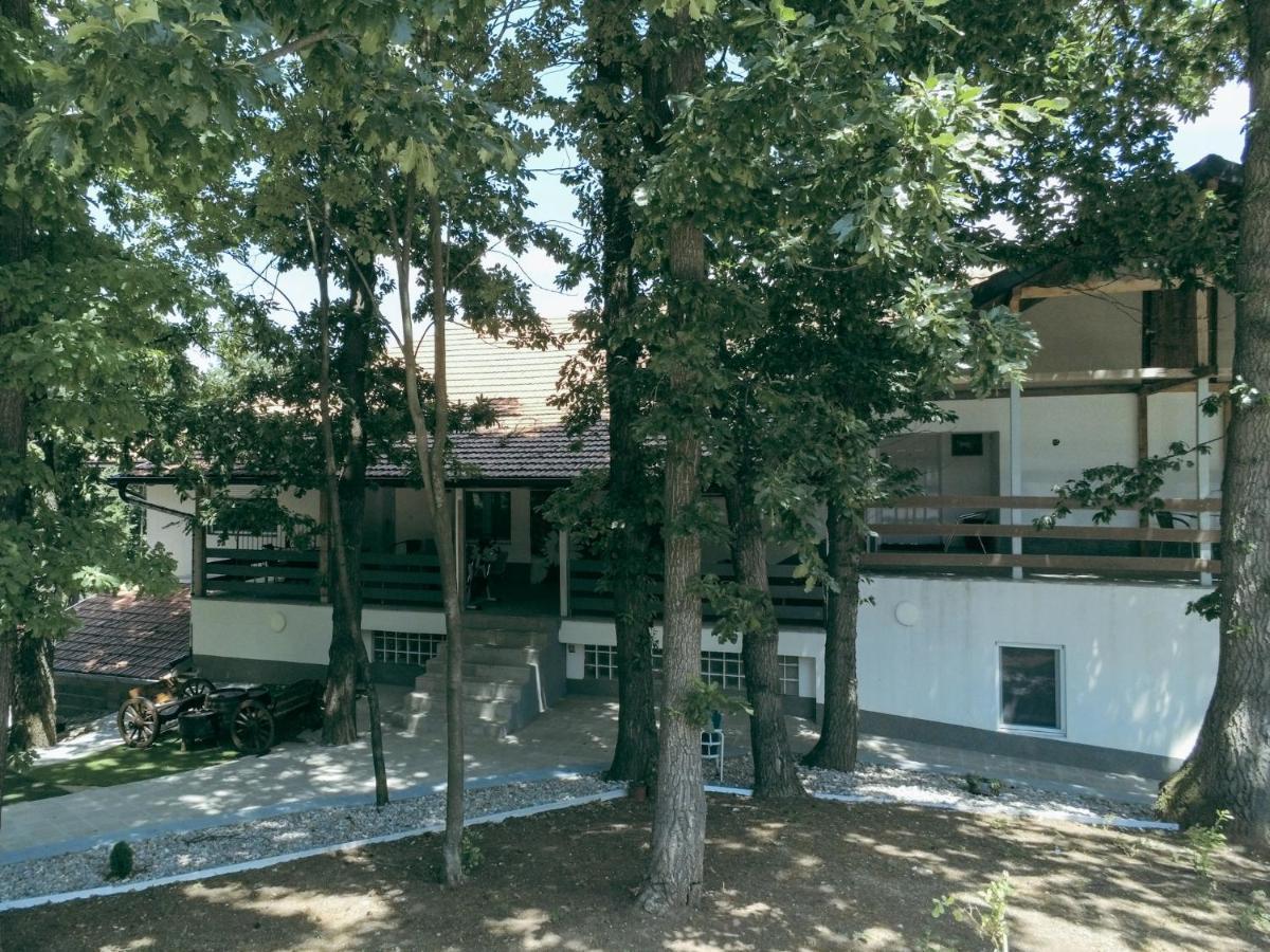 Konak Ljubica Rtanj Boljevac Extérieur photo